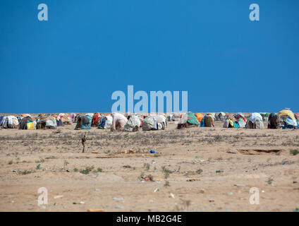 Flüchtlinge somalischen Hütten in der Wüste, Region Awdal Lughaya, Somaliland Stockfoto