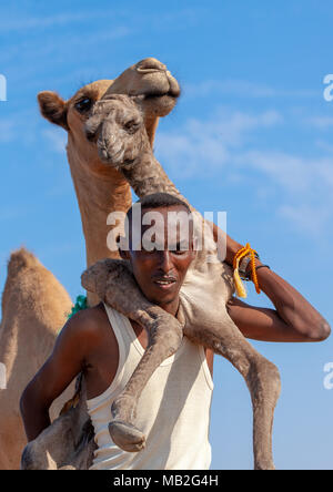 Ein somalischer Mann hält ein Neugeborenes Baby Camel auf seinem Rücken, Region Awdal Lughaya, Somaliland Stockfoto