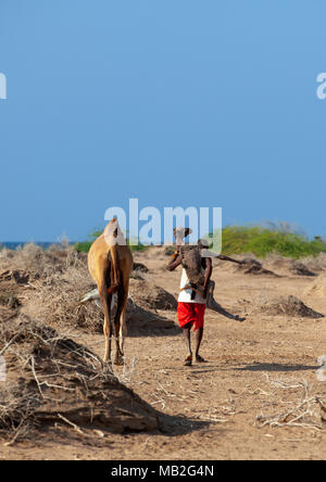 Ein somalischer Mann hält ein Neugeborenes Baby Camel auf seinem Rücken, Region Awdal Lughaya, Somaliland Stockfoto