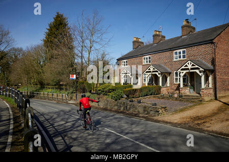 Mobberley hübschen roten Backstein Dorf terrassierten Cottages Stockfoto