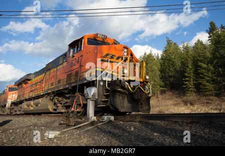 Ein BNSF train unten kommen die Tracks einen Schalter, führte in Bonners Ferry, Idaho, USA. Burlington Northern Santa Fe Railway. Stockfoto