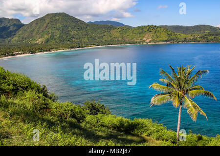 Wunderbare Aussicht in Lombok Strait, Indonesien mit einer isolierten Kokospalme Stockfoto