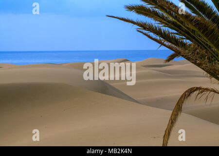 Gerippte und glatte Sand der Dünen von Maspalomas auf Gran Canaria. Stockfoto