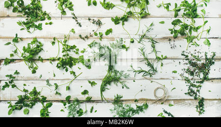 Verschiedene frische grüne Küche Kräuter für gesundes Kochen, breiten Zusammensetzung Stockfoto