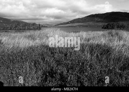 Loch Tarff Schottland Stockfoto