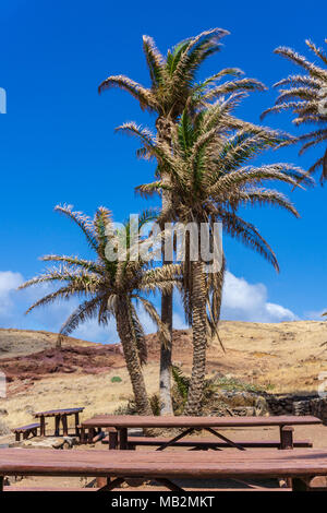 Palm Desert Oasis Abenteuer Wandern Stockfoto