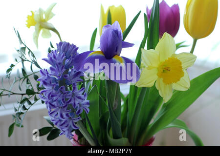 Frühling Blumen Blumenstrauß Stockfoto