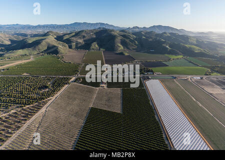 Luftaufnahme der Küstengebiete farm Felder in Santa Rosa Tal in der Nähe von Camarillo in Kalifornien. Stockfoto