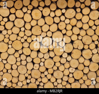 Nahaufnahme von fein geschnitten Protokolle Stockfoto