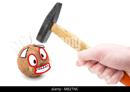 Erschrocken coconut auf weißem Hintergrund. Lustiges Foto von der Eröffnung einer Kokosnuss mit Hammer Stockfoto