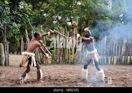 St. Lucia Südafrika - Südafrika - 25. Juni 2017: Zulu Krieger in traditioneller Kleidung mit ighting Speer in Khula Zulu Dorf in Südafrika Stockfoto