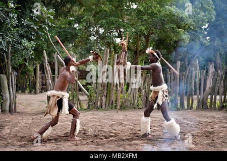 St. Lucia Südafrika - Südafrika - 25. Juni 2017: Zulu Krieger in traditioneller Kleidung mit ighting Speer in Khula Zulu Dorf in Südafrika Stockfoto