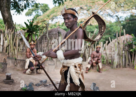 St. Lucia Südafrika - Südafrika - 25. Juni 2017: Zulu Krieger in traditioneller Kleidung in Khula Zulu Dorf in der Nähe von Santa Lucia in Südafrika Stockfoto