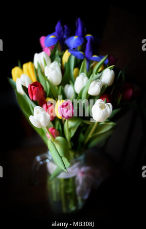 Blumenstrauß aus Tulpen Stockfoto