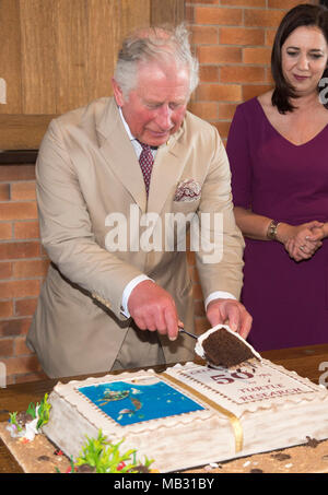 Der Prinz von Wales schneidet einen Kuchen zu 50 Jahre Schildkröte Forschung während einer Tour durch die Bundaberg Rum Distillery markieren. Stockfoto