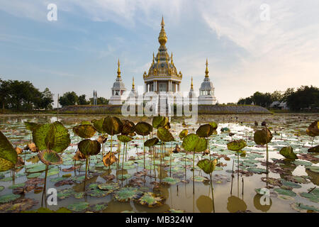 Teich mit Lotus (Nelumbo) vor Maha Rattana Chedi des Wat Thung Setthi, Khon Kaen, Isan, Thailand Stockfoto