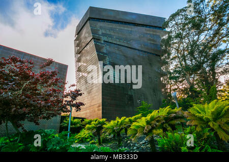 Das De Young. Museum der Schönen Künste von San Francisco. Golden Gate Park. San Francisco. Kalifornien, USA Stockfoto