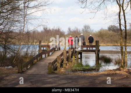 Gruppe von Senioren See in freier Natur beobachten im National Park 'De Groote Peel', Niederlande, im Frühjahr Stockfoto