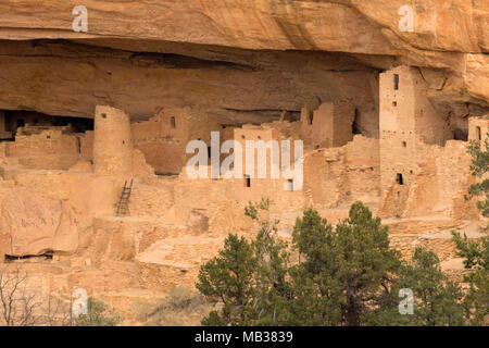 Cliff Palace, Mesa Verde Nationalpark, Colorado Stockfoto