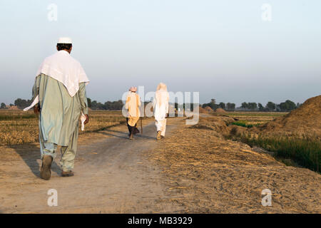 Schlechte drei Pakistanische Dorfbewohner sind auf einer Schotterstraße zwischen der Reisfelder nach der Ernte und Sie tragen Pakistanischen traditionelle Kleidung und gehen Stockfoto