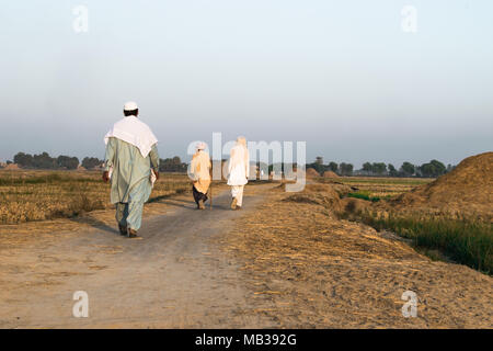 Schlechte drei Pakistanische Dorfbewohner sind auf einer Schotterstraße zwischen der Reisfelder nach der Ernte und Sie tragen Pakistanischen traditionelle Kleidung und gehen Stockfoto