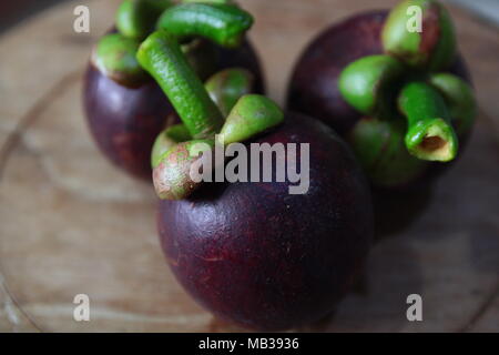 Lila Mangosteen. Mangosteen ist eine tropische Frucht in den Regenwaldgebieten in Malaysia. Es fordert außerdem die Königin der Früchte. Stockfoto