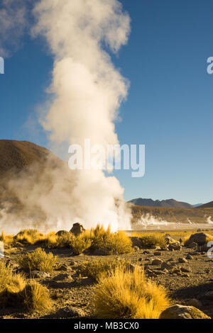 Fumarolen bei El Tatio Geysire auf einer Höhe von 4300 m, Atacama-wüste, Antofagasta Region, Chile, Südamerika Stockfoto