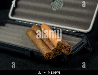 Zigarren auf einem schwarzen travel Humidor. Reich riechen und Texturen der Tabakblätter Stockfoto