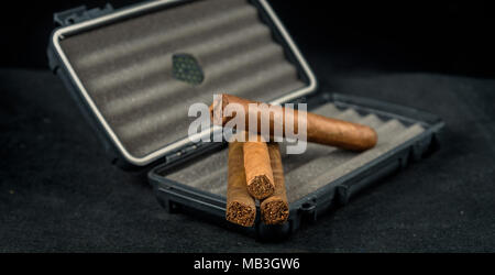 Zigarren auf einem schwarzen travel Humidor. Reich riechen und Texturen der Tabakblätter Stockfoto