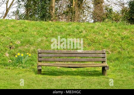 Leere Holzbank im Park mit Narzissen an der Seite und grasbewachsenen Hügel hinter Stockfoto