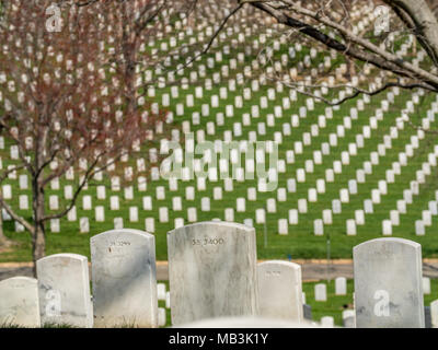 WASHINGTON DC, USA - Apr 5, 2018: Weiße Grabsteine auf dem Arlington National Cemetery in Washington am 5. April 2018 Stockfoto