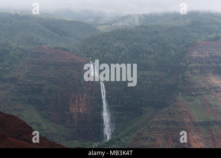 Waimea Canyon auf Kauai, Hawaii, im Winter nach einem großen regensturm Stockfoto