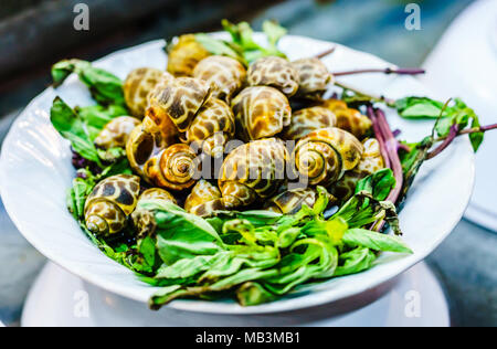 Blick auf frischen Schnecke am Gericht von Chiang Rai in Thailand Stockfoto