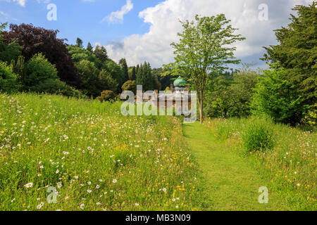 Ein Blick auf das Sezincote House über ein Feld wilder Blumen in Gloucestershire, England Stockfoto