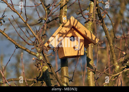 Ein leeres Nest in einem Apple Baum im Sonnenlicht. Die Zweige Schatten auf den Bird House Stockfoto