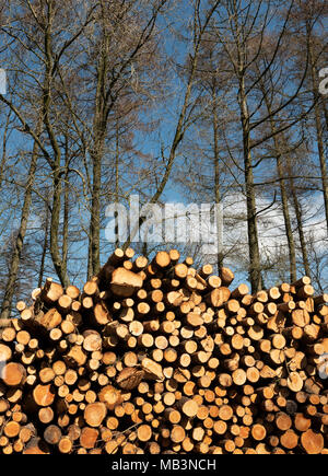 Holz gespeichert, in der Nähe eines woodmill, Downham, Lancashire, UK. Stockfoto