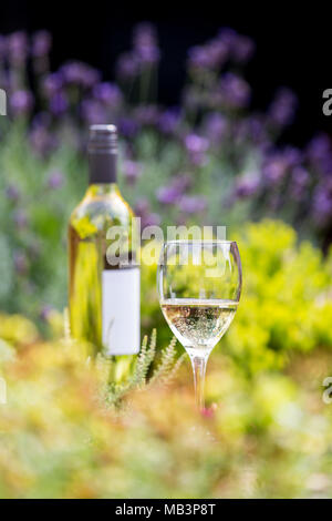 Weißwein im Glas mit Flasche unter den Blumen Stockfoto