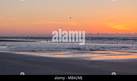 Begrüßen Sie den Morgen oder beenden Sie Ihren Tag am Strand entlang, als die Sonne taucht am Horizont. Dieser Standort ist der Insel der Palmen, etwas außerhalb von Charleston SC Stockfoto