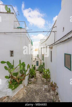 Ostuni (Apulien, Italien) - Die wunderschöne weiße Stadt in der Provinz von Brindisi, Apulien, Süditalien, mit der historischen Altstadt auf dem Hügel Stockfoto