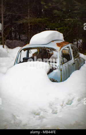 Ein 1960 Volkswagen Käfer, im Schnee begraben, in einem bewaldeten Gebiet, in Noxon, Montana. Dieses Bild wurde mit einem antiken Petzval-Objektiv aufgenommen und zeigt si Stockfoto