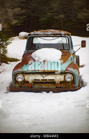 Die Front eines alten, blau 1954 Ford F-250 Truck, in einem Waldgebiet, in Noxon, Montana. Stockfoto