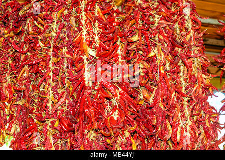 Trauben von Hot chilis Auflegen im Restaurant, Marmaris, Mugla, Türkei Stockfoto