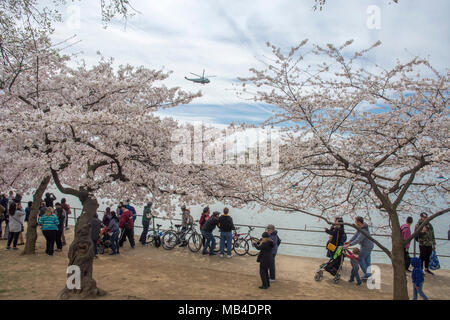 Washington, DC. 6. April 2018. Ein U.S. Marine Corps Sikorsky VH-3D Sea King Hubschrauber, zugeordnet zu den Marine Helicopter Squadron 1 (HMX-1), fliegt über die Tidal Basin in Washington D.C., wenn der Präsident an Bord der Hubschrauber Rufzeichen wird Marine 1. Quelle: Tim Braun/Alamy leben Nachrichten Stockfoto