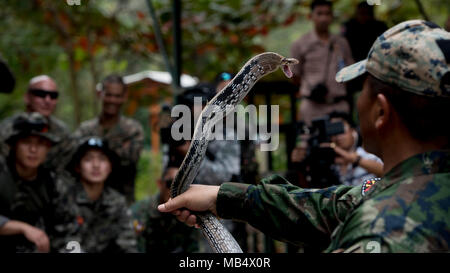 Royal Thai Marine Corps Master Sgt. Pairoj Prasansai, ein Dschungel überleben Ausbildung Instructor von Sattahip, Provinz Chonburi, Thailand, hält eine abgestrahlte Ratte Schlange im Dschungel überleben Training 19.02.2018, in Sattahip, Provinz Chonburi, Thailand. Die Ausbildung wurde im Rahmen der Übung Cobra Gold 2018 durchgeführt. In einem Überleben Szenario snake Blut kann verbraucht werden zu halten eine individuelle hydratisiert während das Fleisch als Lebensmittel verwendet werden kann. Die jährliche Übung ist im Königreich Thailand durchgeführt von Feb.13-23 mit sieben voll teilnehmenden Nationen statt. Stockfoto