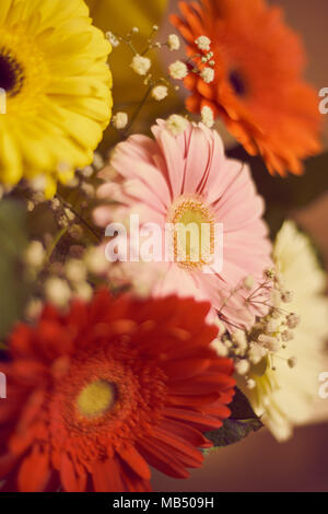 Blumenstrauß aus den vielfarbigen Gerbera Stockfoto