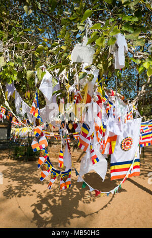 Vertikale Nahaufnahme von Bunting hängen von der Bodhi-baum an Jaya Sri Maha Bodhi in Anuradhapura, Sri Lanka. Stockfoto