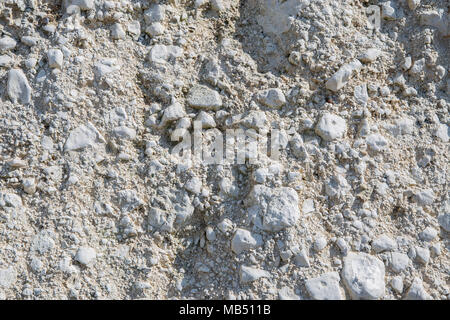 Chalk Sea Cliff an Birling Gap auf die Sussex Coast auf einer hellen und sonnigen Frühling Morgen Stockfoto