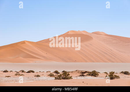 Sossusvlei, Namibia, szenische Ton Salzsee mit geflochtenen Akazien und majestätischen Dünen. Namib Naukluft National Park, Reiseziel in Afric Stockfoto