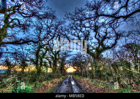 Dorf von Coddington, England. Künstlerische Sonnenuntergang über einem Reitweg in ländlichen Cheshire. Stockfoto