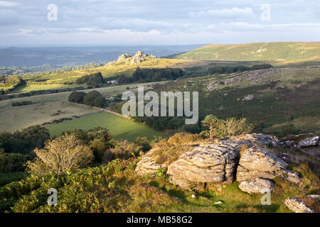 Am frühen Morgen Licht auf Honeybag tor mit Blick auf Hound tor Nationalpark Dartmoor Devon, Großbritannien Stockfoto